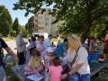 20170603_114728.jpg